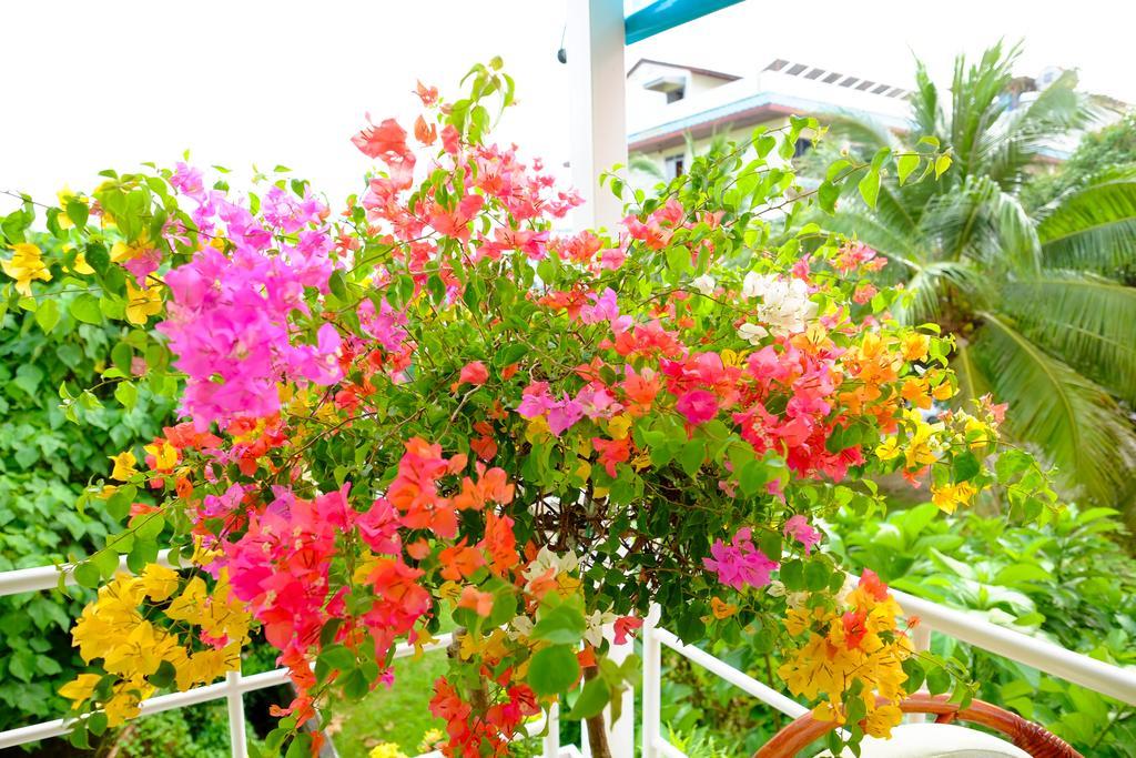 Adonis Guest House Patong Eksteriør billede
