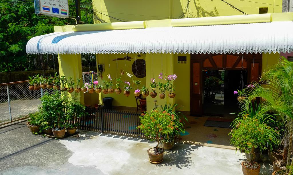 Adonis Guest House Patong Eksteriør billede