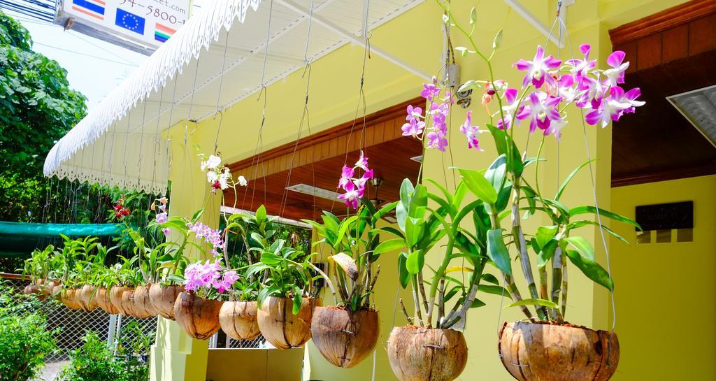 Adonis Guest House Patong Eksteriør billede