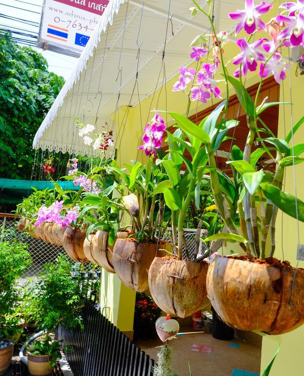 Adonis Guest House Patong Eksteriør billede